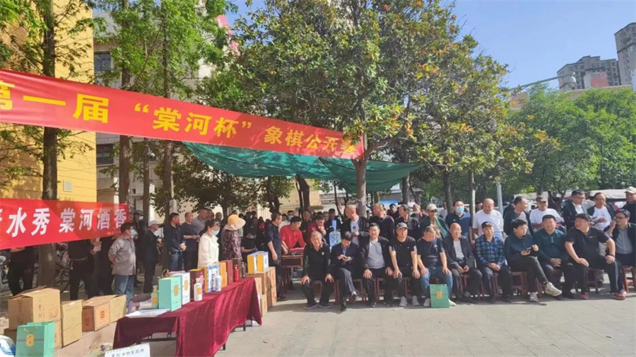 慶祝“五一”第一屆棠河杯象棋公開賽在西平縣柏城東關廣場舉辦